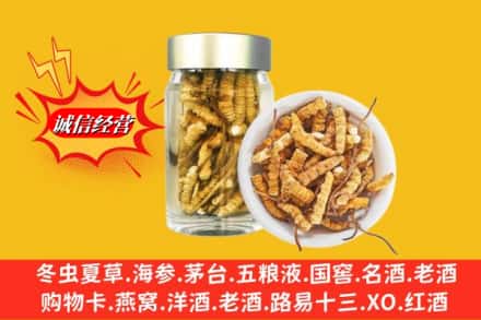 下花园区回收散虫草