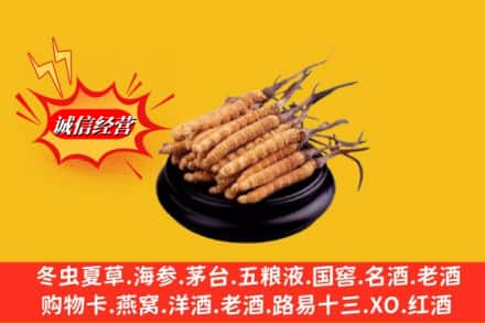 下花园区求购回收虫草多少钱每克
